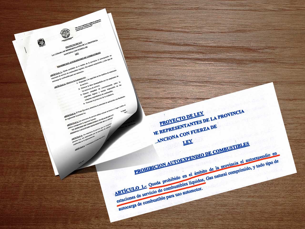 proyecto-de-ley-diputado-roa-legislatura-misiones-propiciada-por-soesgype-misiones-marzo-2025